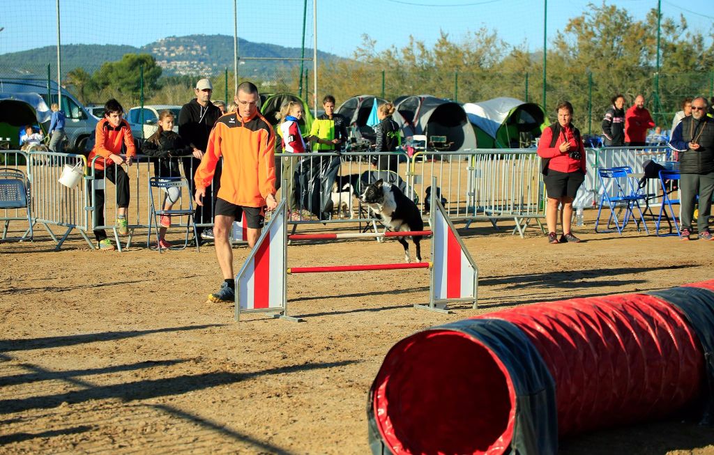 Comète du site de la carrière des plombs