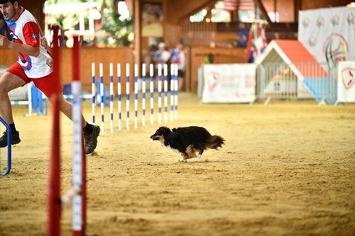 Publication : des Crocs de Provence Auteur : SCF