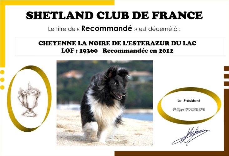 CH. Cheyenne la noire de L'Estérazur du Lac