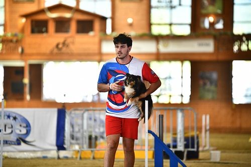 CH. River of glitter rain brune des Crocs de Provence