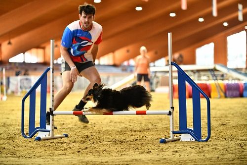 Publication : des Crocs de Provence Auteur : SCF