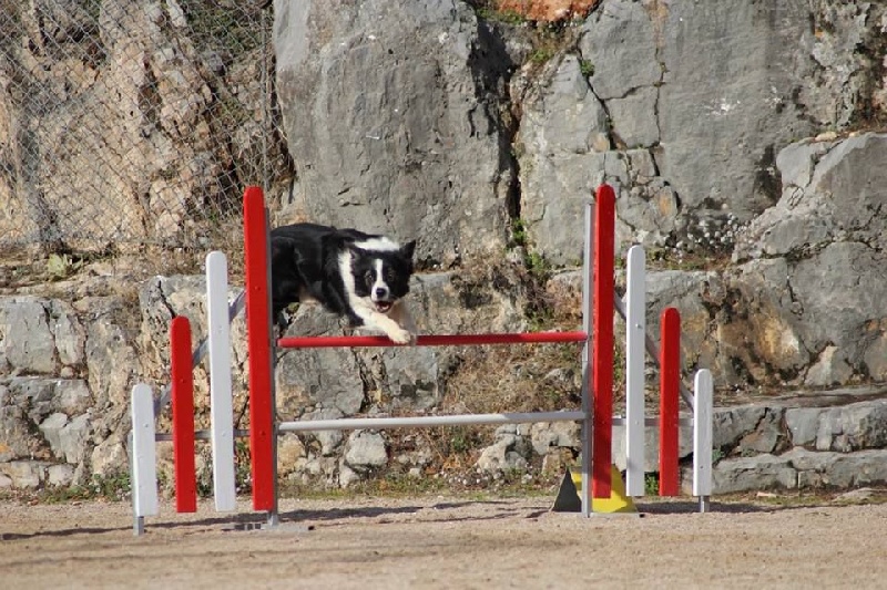 Comète du site de la carrière des plombs
