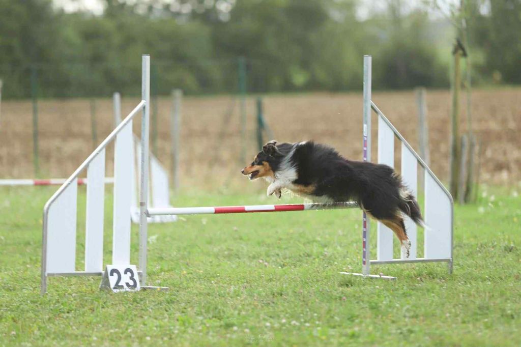 Umealven brun des Crocs de Provence