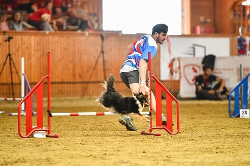 CH. River of glitter rain brune des Crocs de Provence