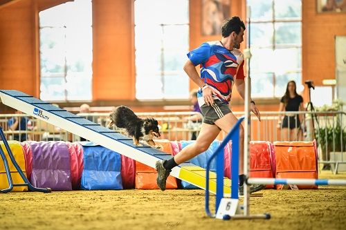 Publication : des Crocs de Provence Auteur : SCF