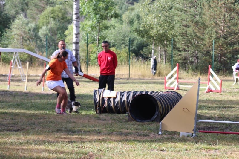 CH. Flèche noire du grand pré d 'ortignac