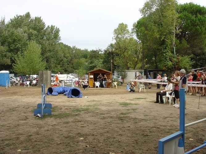Comète du site de la carrière des plombs