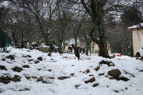 Comète du site de la carrière des plombs