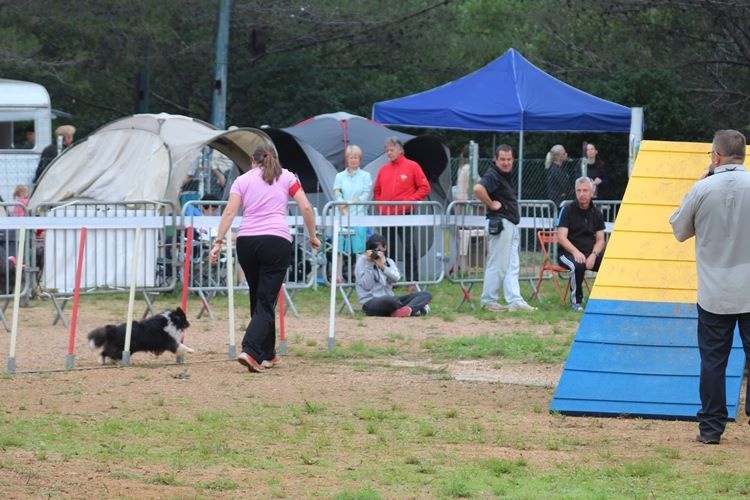 CH. Cheyenne la noire de L'Estérazur du Lac