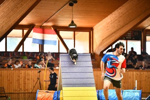 Publication : des Crocs de Provence Auteur : SCF