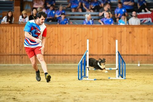 CH. River of glitter rain brune des Crocs de Provence