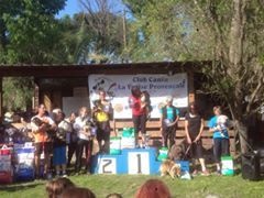 Féline brune des Crocs de Provence - Qualifiée