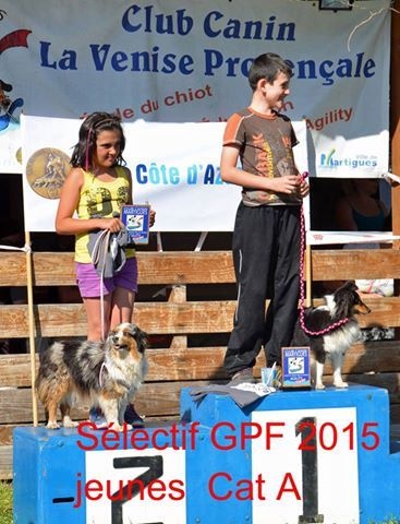 Féline brune des Crocs de Provence - Vainqueur du Sélectif jeune