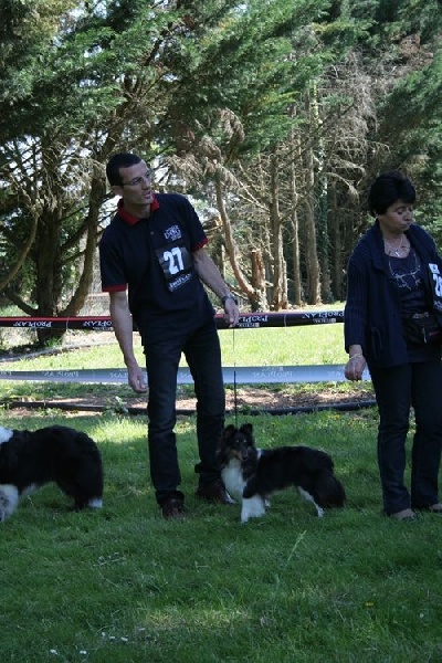 Féline brune des Crocs de Provence - Très Bon