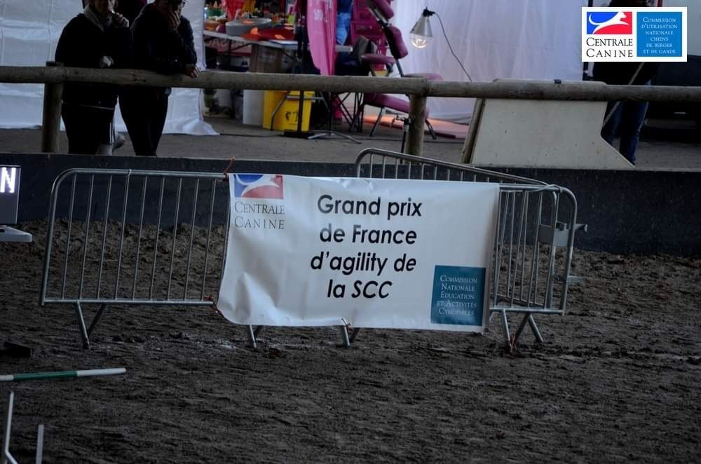 CH. J'imagine bleue des Crocs de Provence - Pas de grande finale