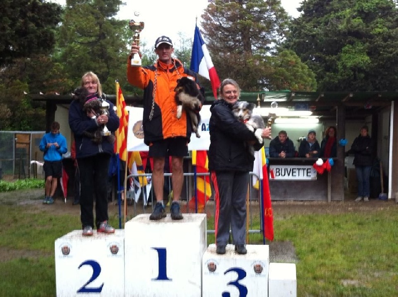 Féline brune des Crocs de Provence - Championne Régionale