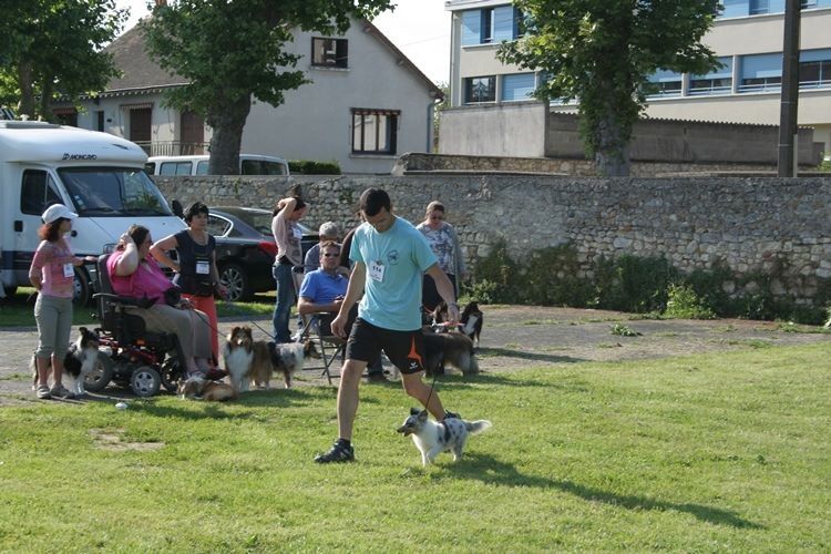 CH. J'imagine bleue des Crocs de Provence - Très Prometteur 3ème