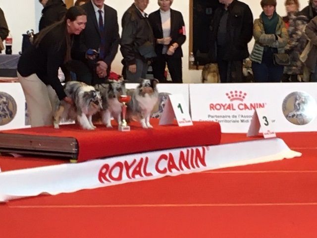 CH. J'imagine bleue des Crocs de Provence - 1ère Excellent