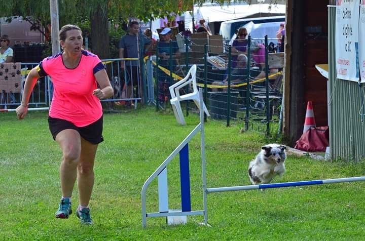 CH. J'imagine bleue des Crocs de Provence - 11ème