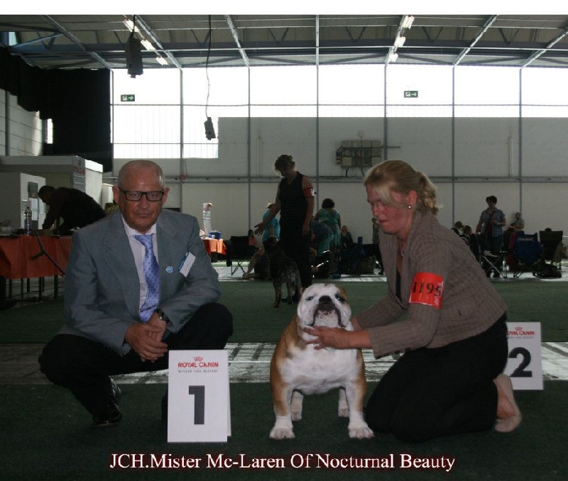 CH. Int,vdh.ch,jch nl, b, vdh, mister mc-laren of Nocturnal Beauty - 1.Exellent J.Ch.VDH-Meilleur Jeune