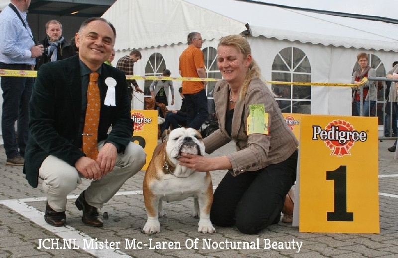 CH. Int,vdh.ch,jch nl, b, vdh, mister mc-laren of Nocturnal Beauty - 1.Exellent J.Ch.VDH-Meilleur Jeune-BOB-Best jeune group 2-4ieme best J. in show