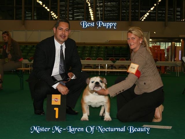 CH. Int,vdh.ch,jch nl, b, vdh, mister mc-laren of Nocturnal Beauty - 1.Tres Prometeur Best Puppy