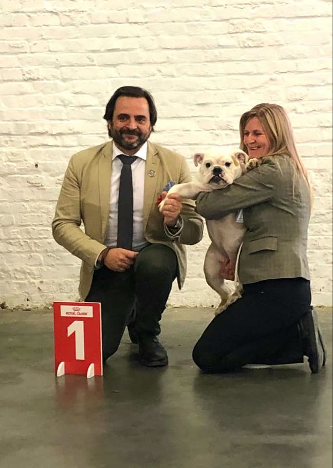 Shakira bred girl nb van Trod - Minor Puppy: 1.Tres Prometeur+Best Baby