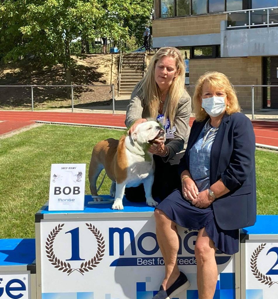 Shakira bred girl nb van Trod - Jeune:1. Exellent Meilleur Jeune, Best Of Breed