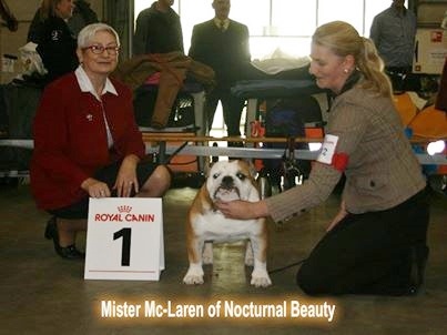 CH. Int,vdh.ch,jch nl, b, vdh, mister mc-laren of Nocturnal Beauty - 1.Exellent Junior Cac