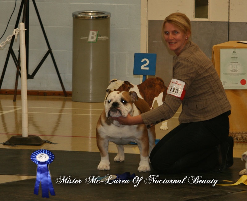 CH. Int,vdh.ch,jch nl, b, vdh, mister mc-laren of Nocturnal Beauty - second place in Puppy Dog Qualification Cruft 2014-2015