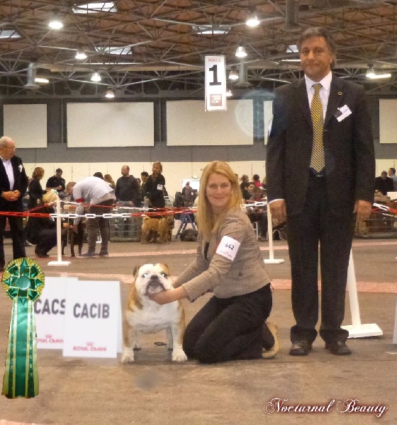 CH. Int,vdh.ch,jch nl, b, vdh, mister mc-laren of Nocturnal Beauty - Classe Ouvert: 1.Exellent CAC-CACIB-BOS