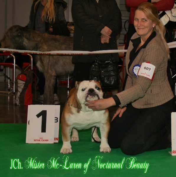 CH. Int,vdh.ch,jch nl, b, vdh, mister mc-laren of Nocturnal Beauty - 1.Exellent Meilleur Jeune