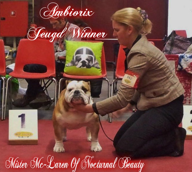 CH. Int,vdh.ch,jch nl, b, vdh, mister mc-laren of Nocturnal Beauty - 1.Exellent Ambiorix Jeune Winner