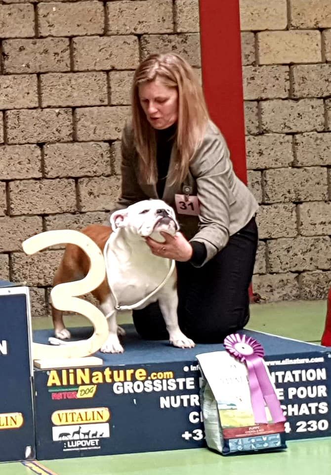 Shakira bred girl nb van Trod - Puppy: 3.Tres Prometeur