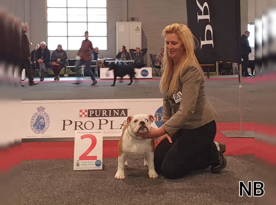 Shakira bred girl nb van Trod - Minor Puppy: 2. Tres prometeur