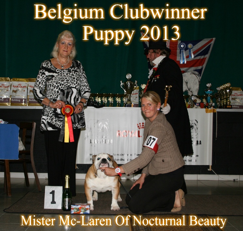 CH. Int,vdh.ch,jch nl, b, vdh, mister mc-laren of Nocturnal Beauty - Puppy classe: 1.Tres prometeur Best Puppy- Belgium Clubwinner Puppy 2013