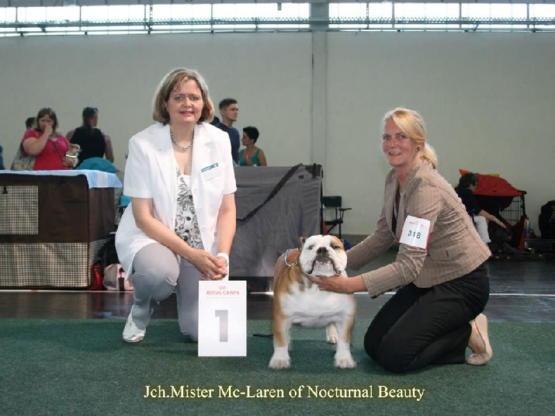 CH. Int,vdh.ch,jch nl, b, vdh, mister mc-laren of Nocturnal Beauty - 1.Exellent J.Ch.VDH-Meilleur Jeune