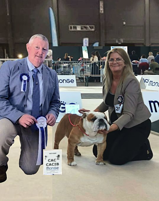 bagibeli Don quixote multi jch - Open Classe: 1.Exellent CAC/CACIB