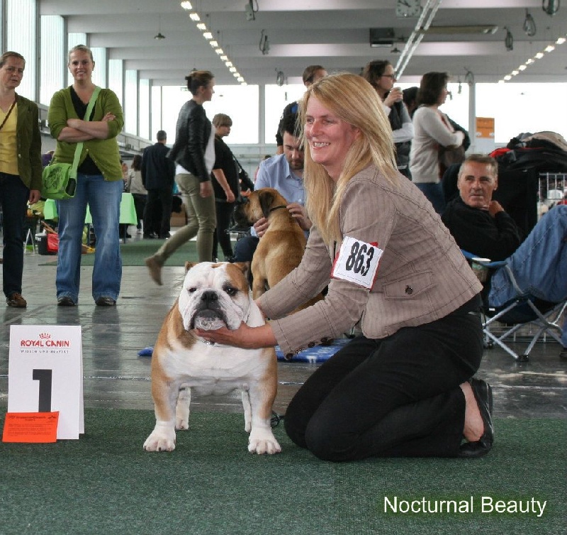 CH. Int,vdh.ch,jch nl, b, vdh, mister mc-laren of Nocturnal Beauty - Ouvert: 1 Exellent VDH-CAC-CACIB-BOS