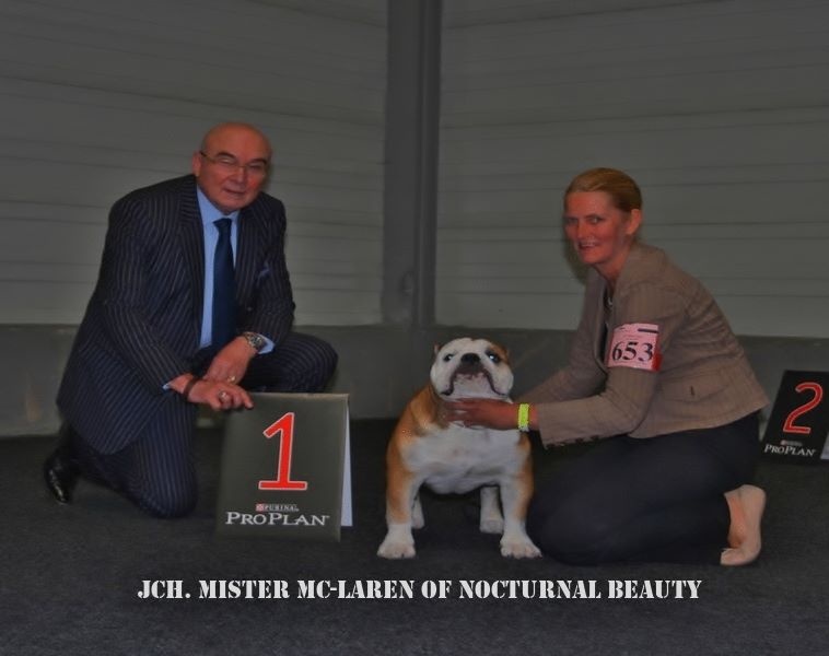 CH. Int,vdh.ch,jch nl, b, vdh, mister mc-laren of Nocturnal Beauty - Intermediare Classe: 1.Exellent Anw.Dt.Ch.VDH-CAC-CACIB