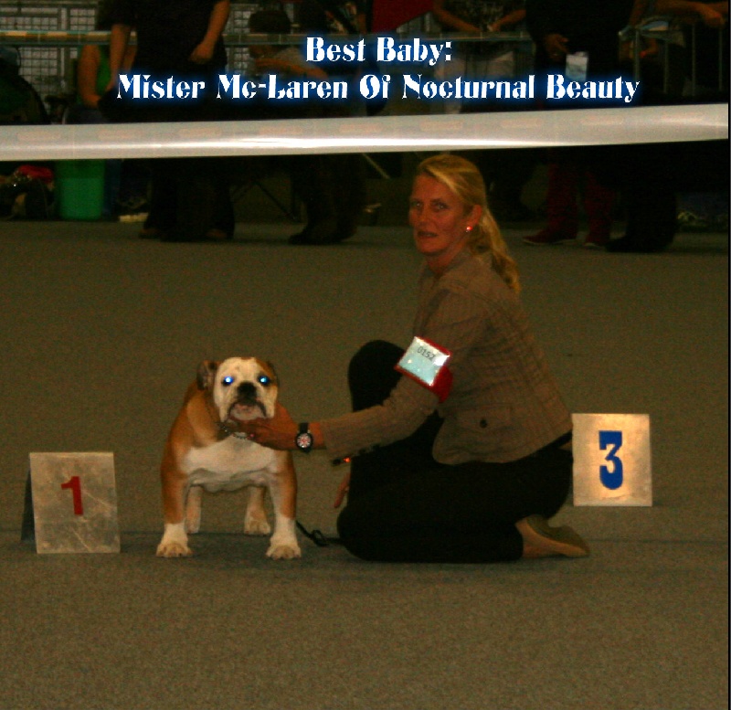CH. Int,vdh.ch,jch nl, b, vdh, mister mc-laren of Nocturnal Beauty - 1.Tres Prometeur Best Baby