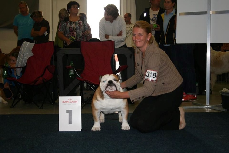 CH. Int,vdh.ch,jch nl, b, vdh, mister mc-laren of Nocturnal Beauty - 1.Exellent Anw.Dt.Ch.VDH- CAC-CACIB-BOS