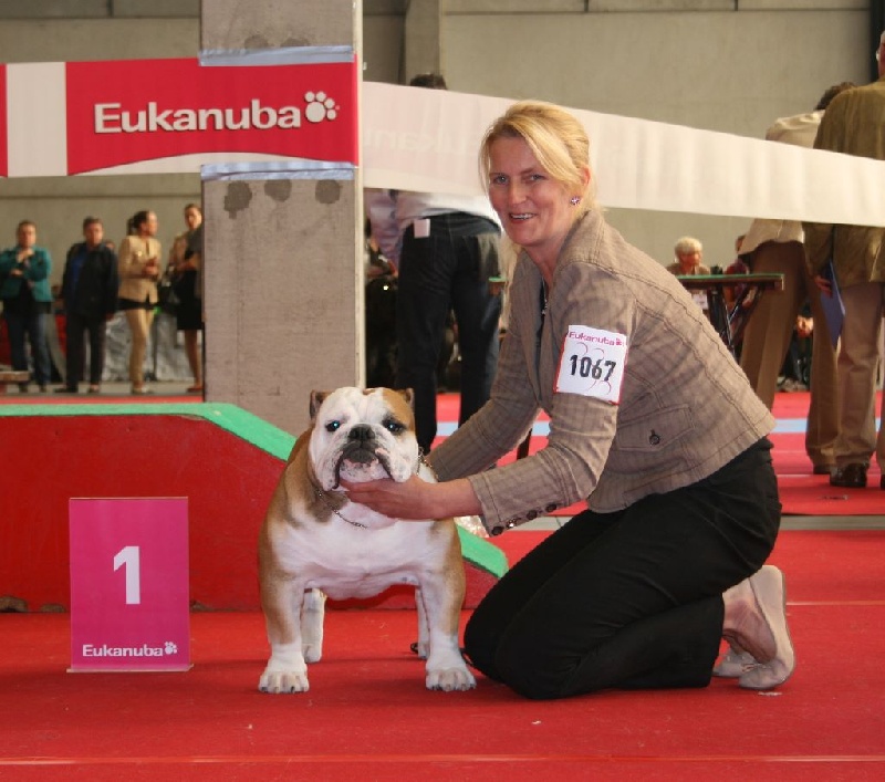 CH. Int,vdh.ch,jch nl, b, vdh, mister mc-laren of Nocturnal Beauty - 1.Exellent Junior Cac + Meilleur jeune