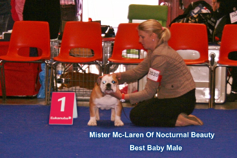 CH. Int,vdh.ch,jch nl, b, vdh, mister mc-laren of Nocturnal Beauty - 1.Tres Prometeur Best baby male