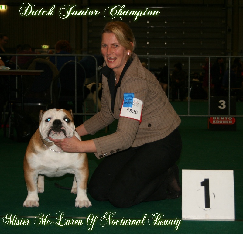 CH. Int,vdh.ch,jch nl, b, vdh, mister mc-laren of Nocturnal Beauty - 1.Exellent Junior Cac+RCAC