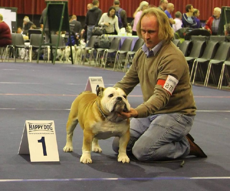 CH. Int,vdh.ch,jch nl, b, vdh, mister mc-laren of Nocturnal Beauty - Champion Class: 1.Exellent CAC-CACIB-BOB