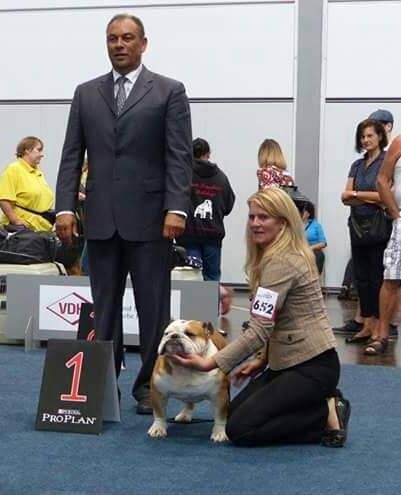 CH. Int,vdh.ch,jch nl, b, vdh, mister mc-laren of Nocturnal Beauty - Champion Class: 1.Exellent VDH-CAC-CACIB-BOB