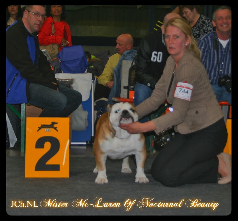 CH. Int,vdh.ch,jch nl, b, vdh, mister mc-laren of Nocturnal Beauty - 2.Exellent RJCAC