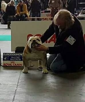 CH. Int,vdh.ch,jch nl, b, vdh, mister mc-laren of Nocturnal Beauty - Champion Class: 1.Exellent RCAC-RCACIB