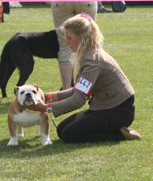 CH. Int,vdh.ch,jch nl, b, vdh, mister mc-laren of Nocturnal Beauty - baby: 2.Tres prometeur